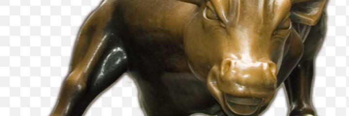 RagingBull2020's profile banner image