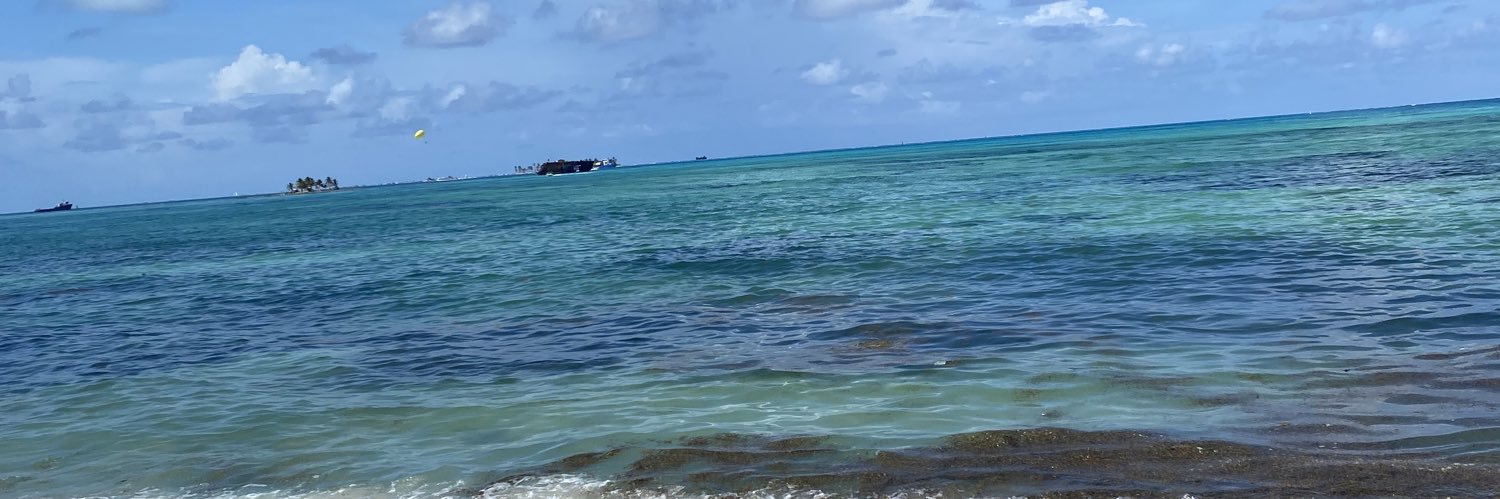 MariaAvirama's profile banner image