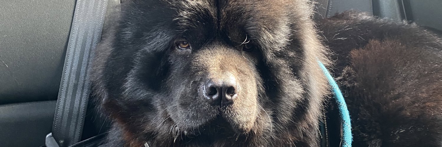 daleLOUISE96's profile banner image