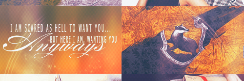TedTonks_AT's profile banner image