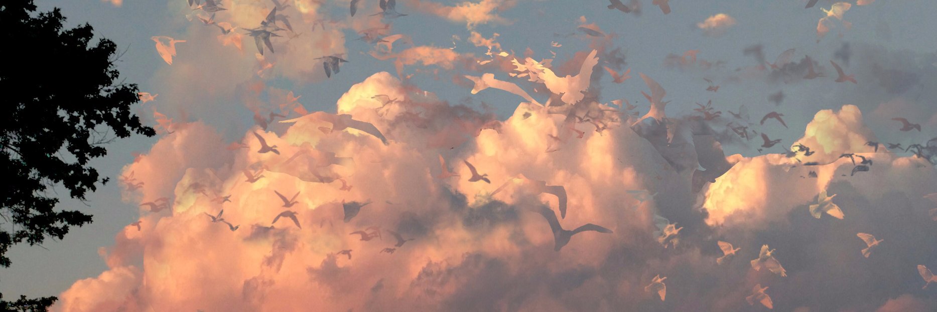SmokeyCatPress's profile banner image