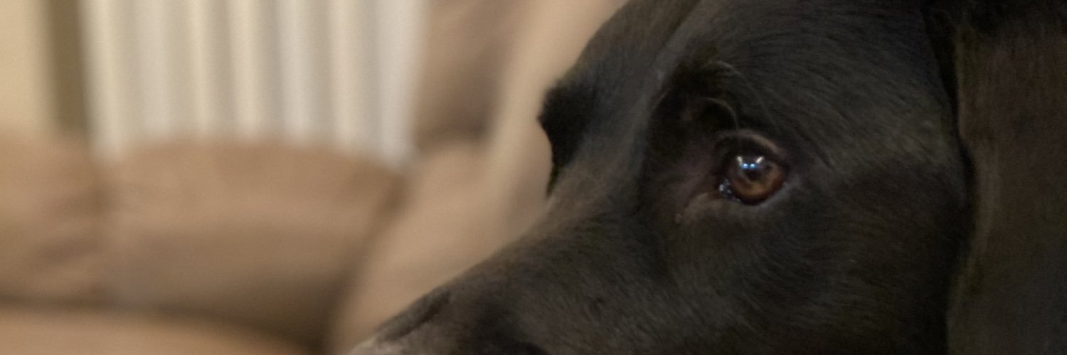 AftonArlene20's profile banner image