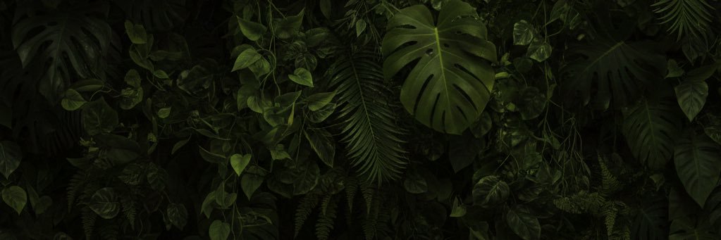 nlsno's profile banner image