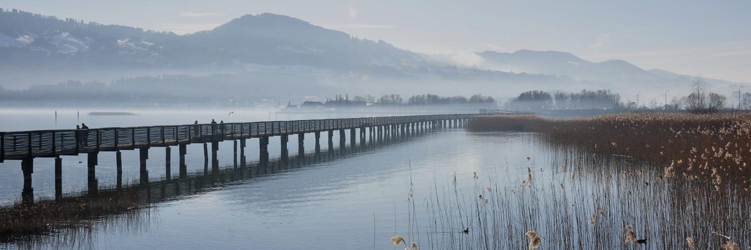 Swiss Python Summit banner