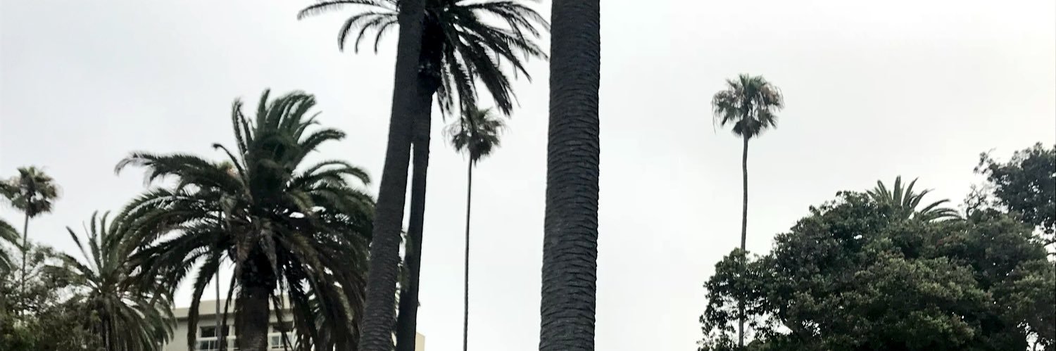 AlexanderKUSA's profile banner image