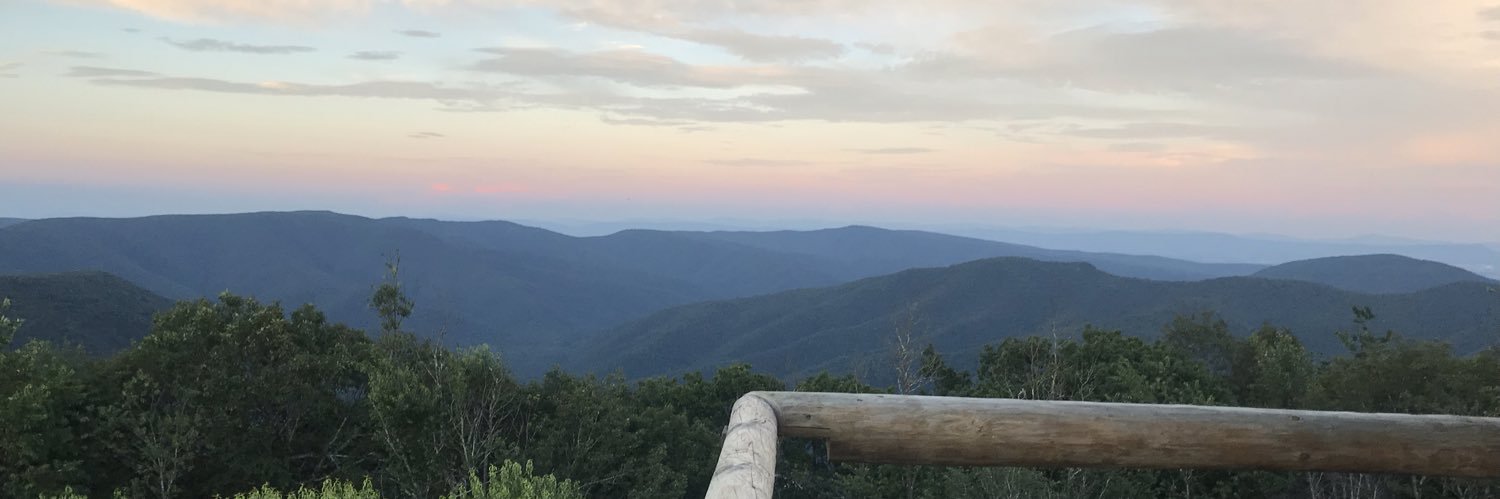 erincanno's profile banner image