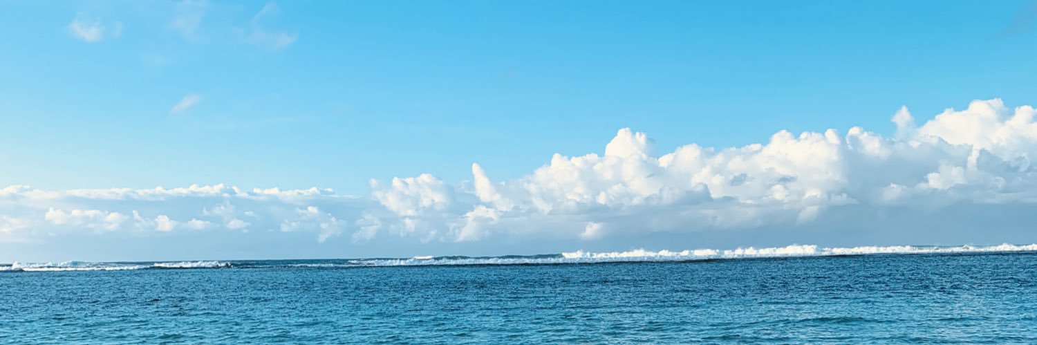 Shane banner