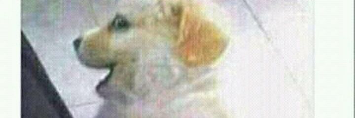 M_David_17's profile banner image