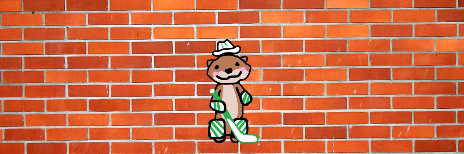 conejo_ape's profile banner image