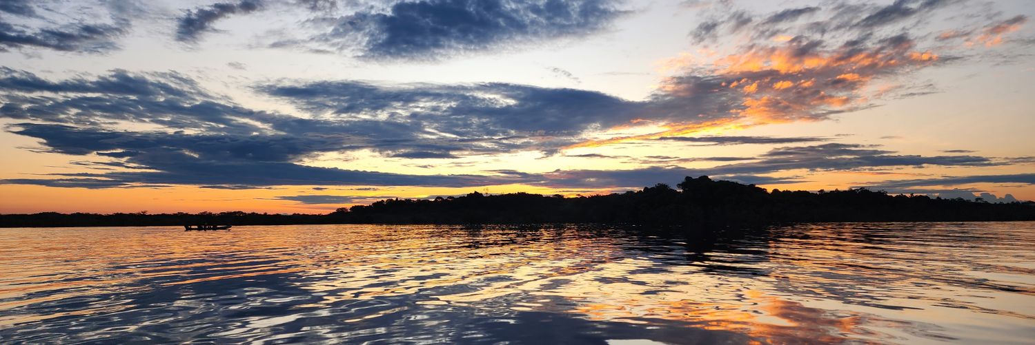 José Dávalos banner