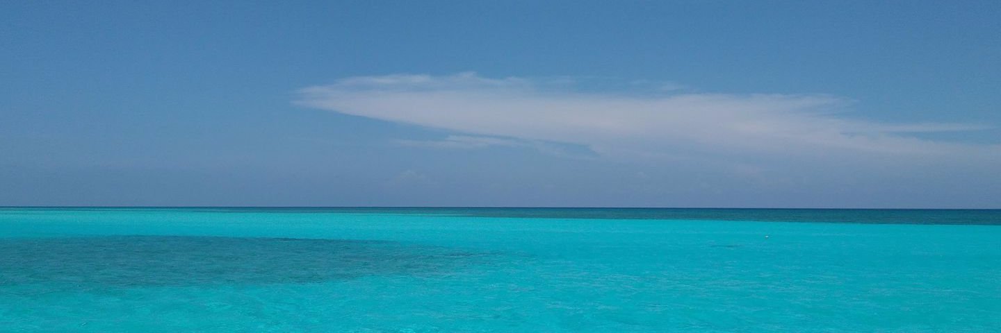 Enric Gisbert 🎗 banner