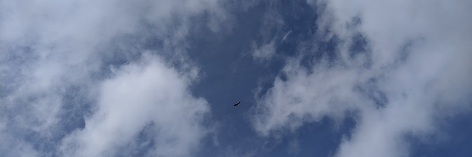 NYCEVAN's profile banner image