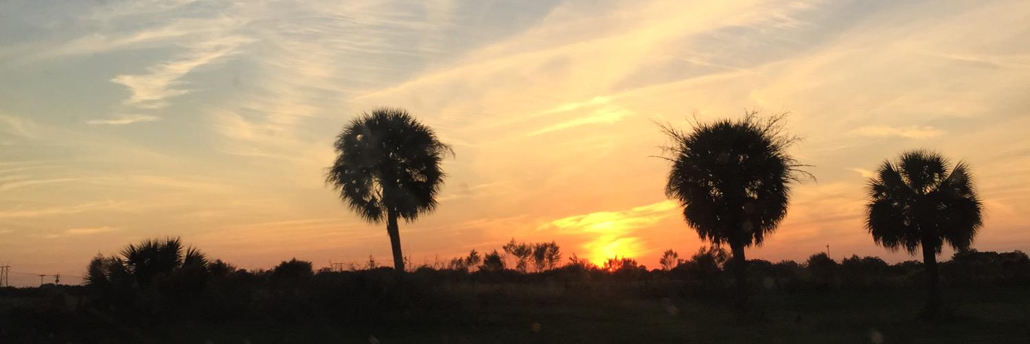 MarisaAshley_'s profile banner image
