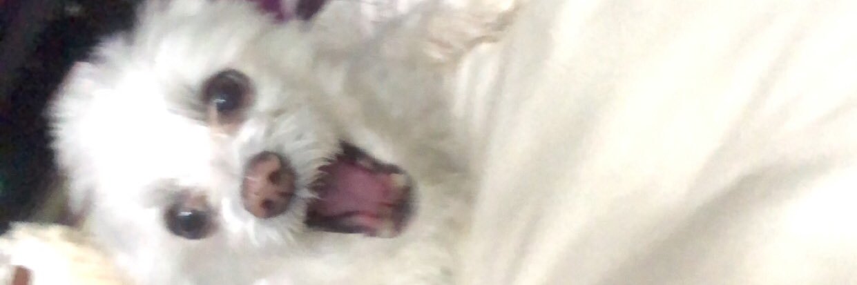 EmilyVincec's profile banner image