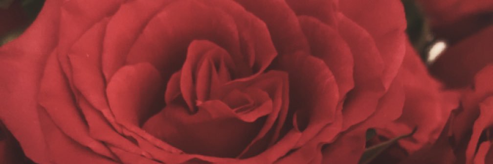 Nan0osann's profile banner image