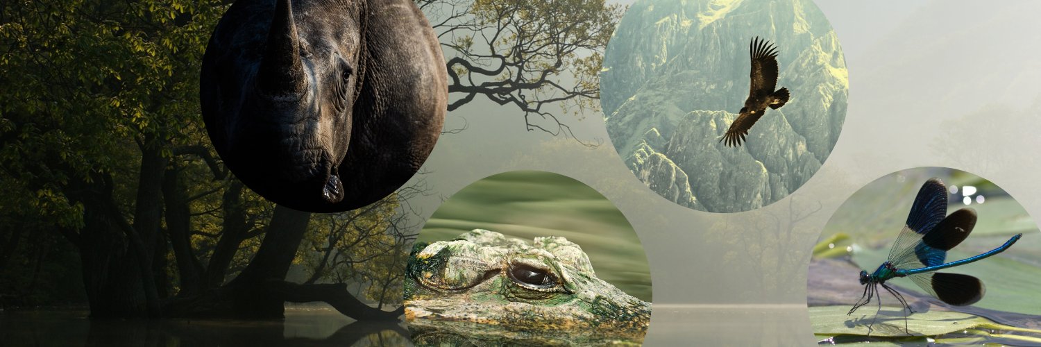 Francesca Ridley banner