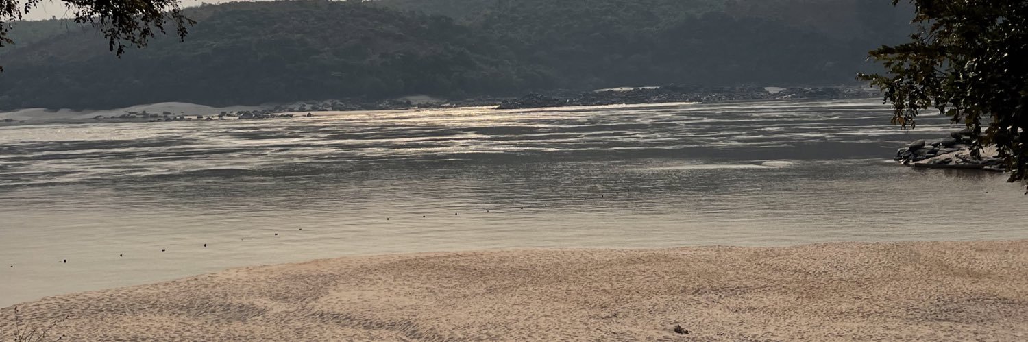 Diims__'s profile banner image