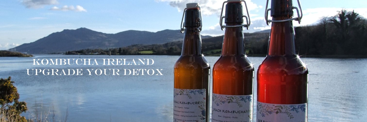 InfoKombucha's profile banner image