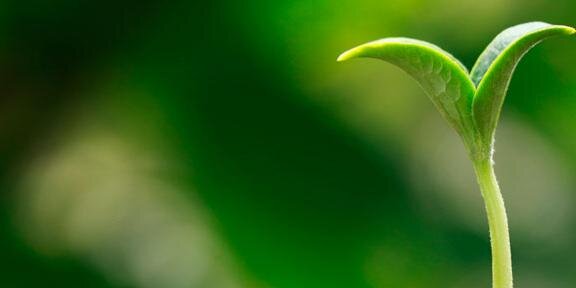 ed_kruse's profile banner image