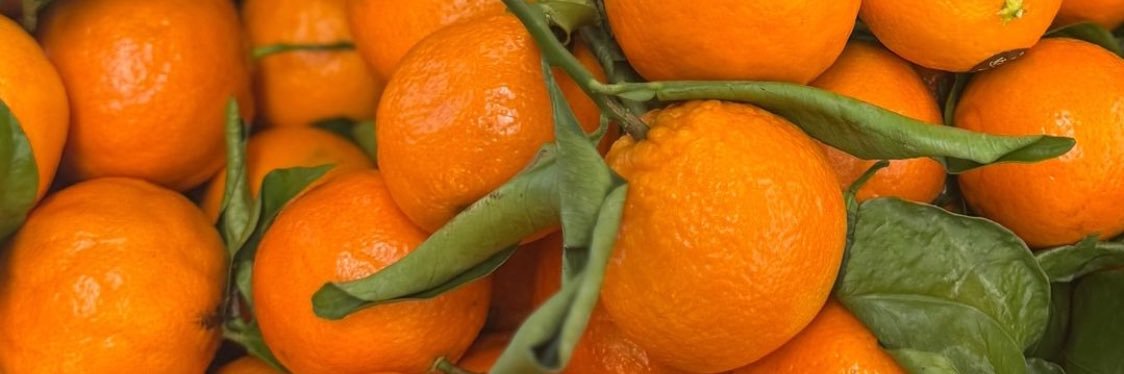 Miranda Constreras banner