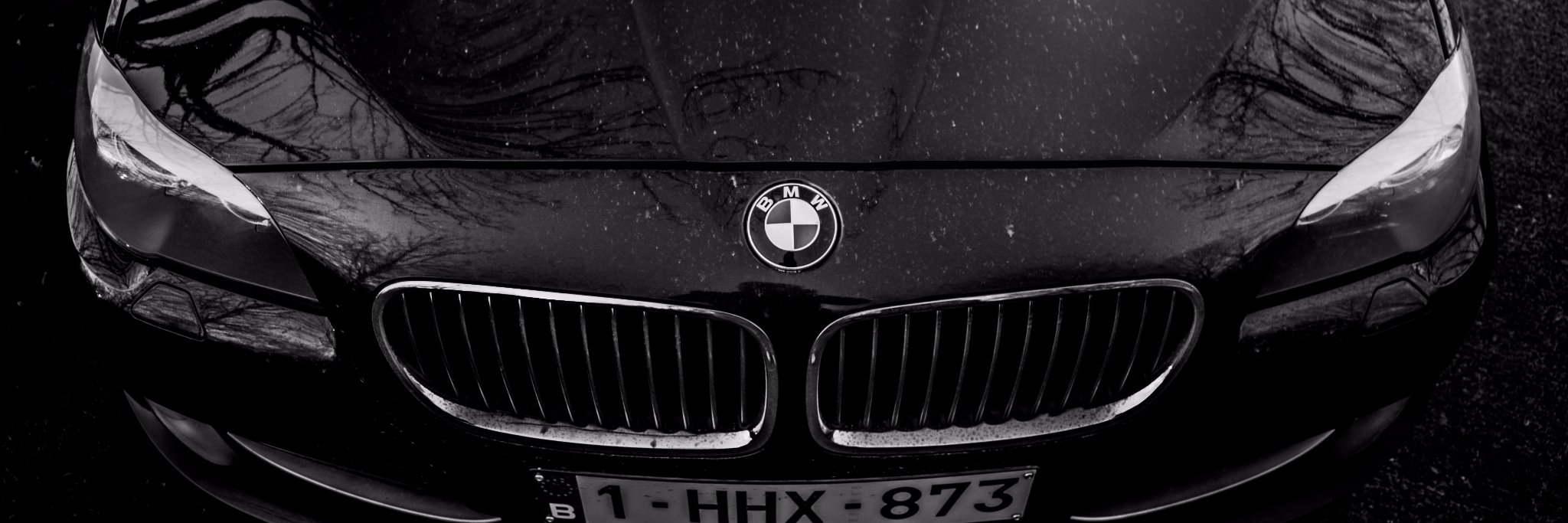 KRlMZYY's profile banner image
