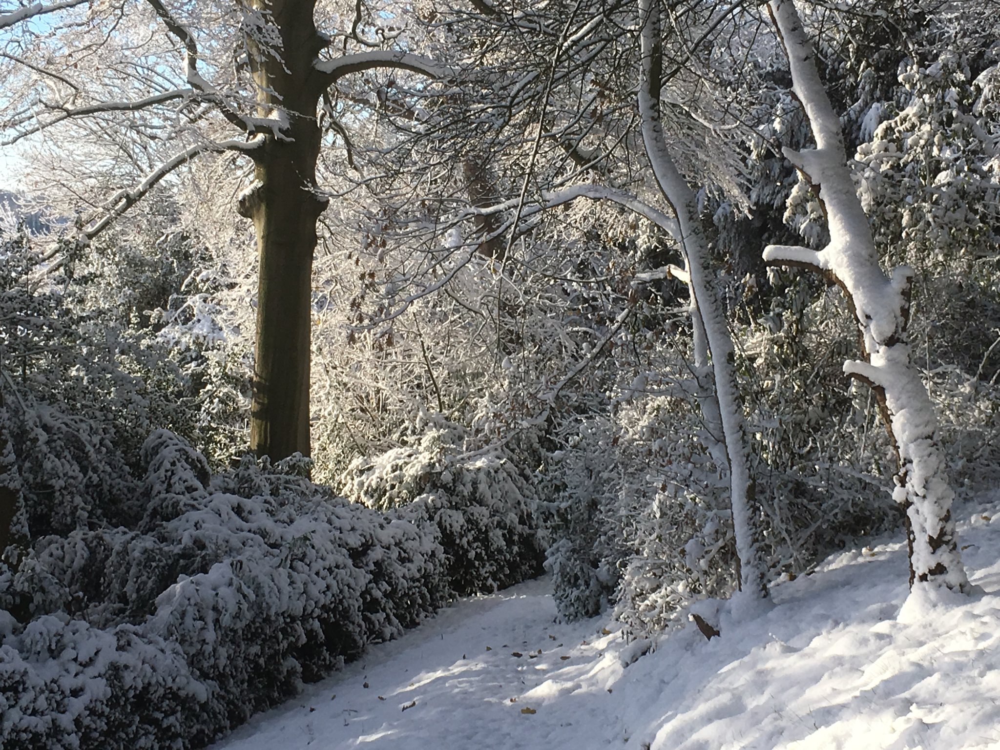 andy_hancox's profile banner image