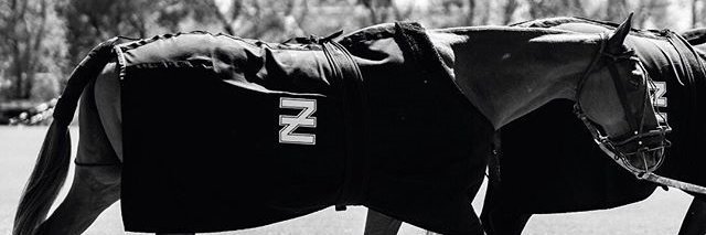 CAZMuldow's profile banner image
