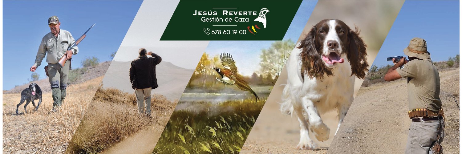 springerderever's profile banner image