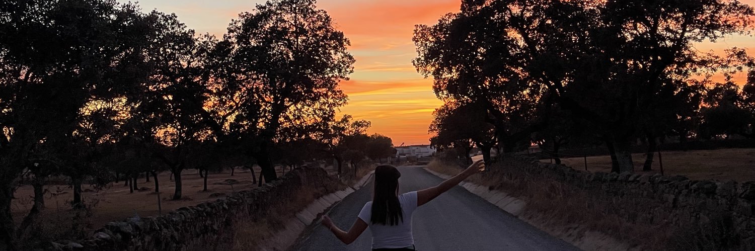 itsmeSandr's profile banner image