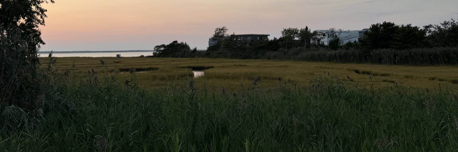 MaryyFelice's profile banner image
