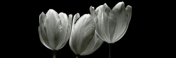berly_bs's profile banner image