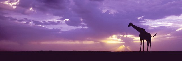 atass13's profile banner image
