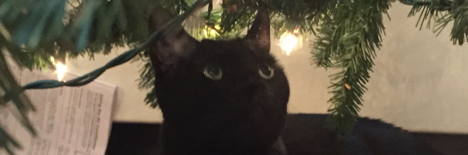 PikachuTheCat's profile banner image
