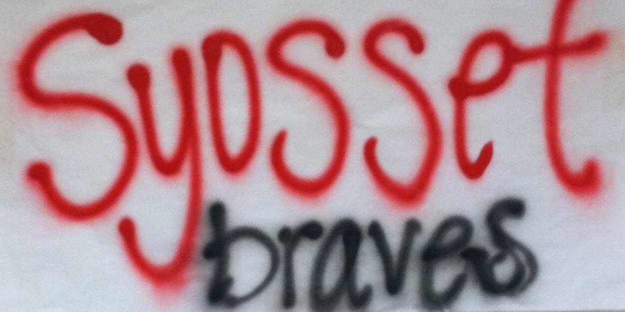 SyoStudentGov's profile banner image