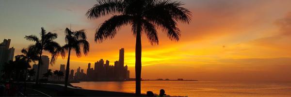 CastaliaPascual Profile Banner