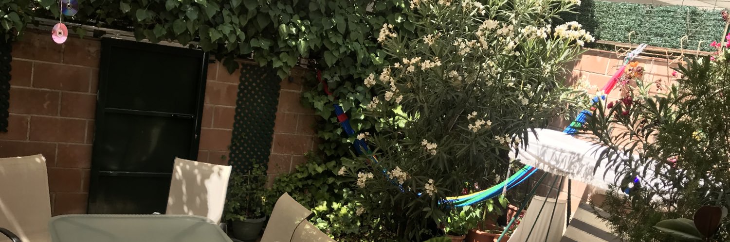 Carmeniarj's profile banner image