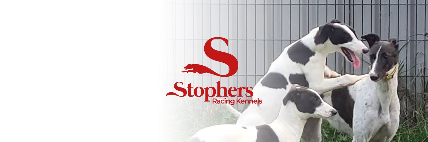 Gemma Davidson banner