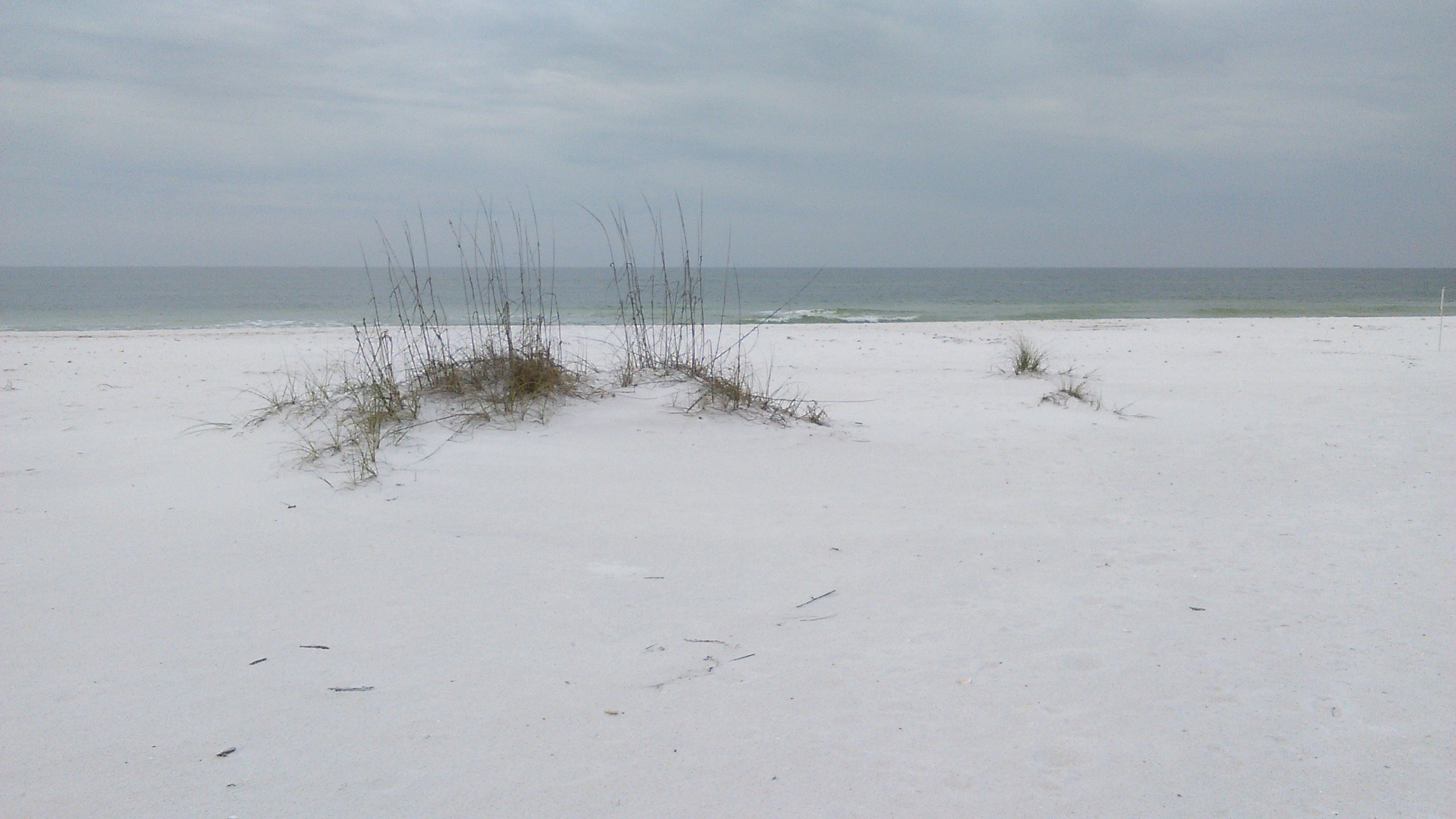Chezcounty's profile banner image