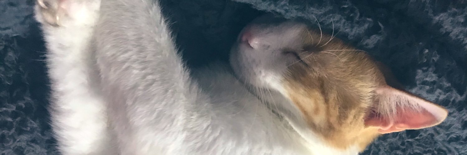 marelialava's profile banner image