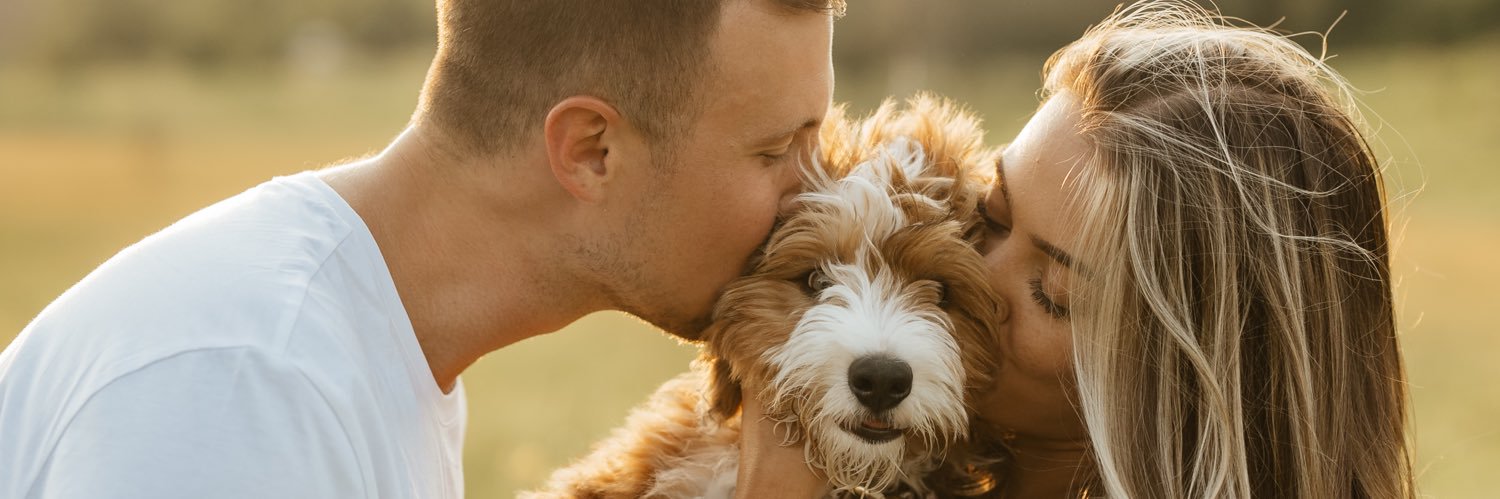 taylorhinkle98's profile banner image