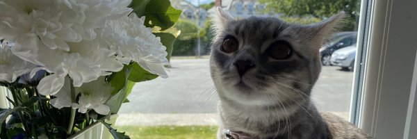 Reesy93 Profile Banner