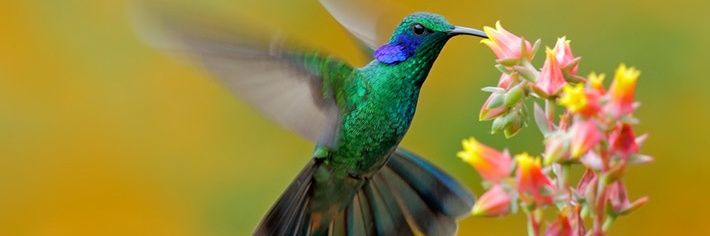 veradocampo's profile banner image