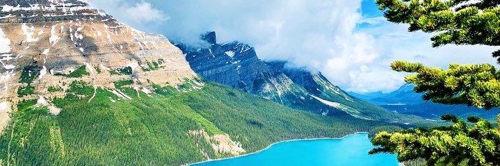 cam_millaa's profile banner image
