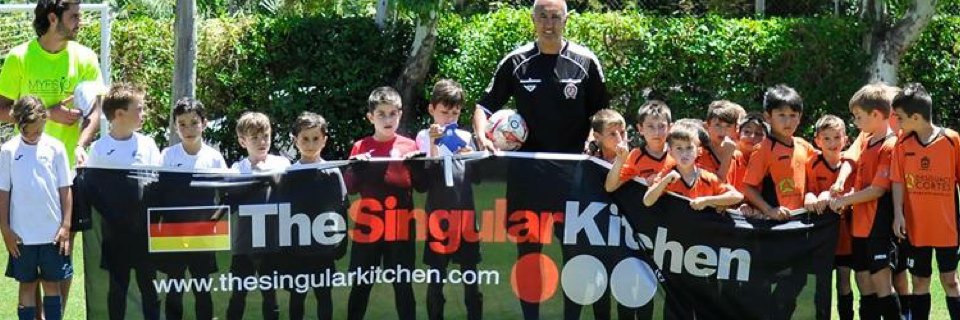 SingCoaching's profile banner image