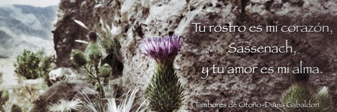 OutlanderEnEspañol™ banner