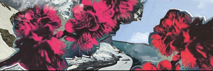Sofiagorli's profile banner image