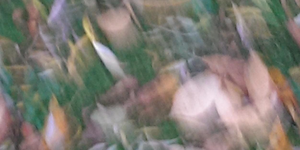 robelwes's profile banner image