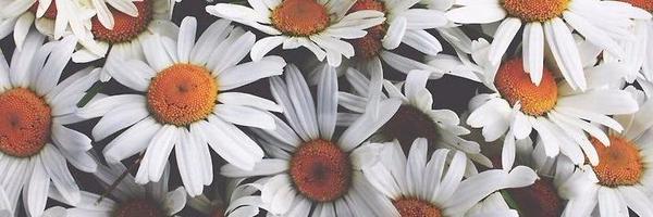osymnz's profile banner image