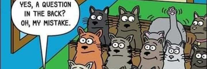 SpursKKTC's profile banner image