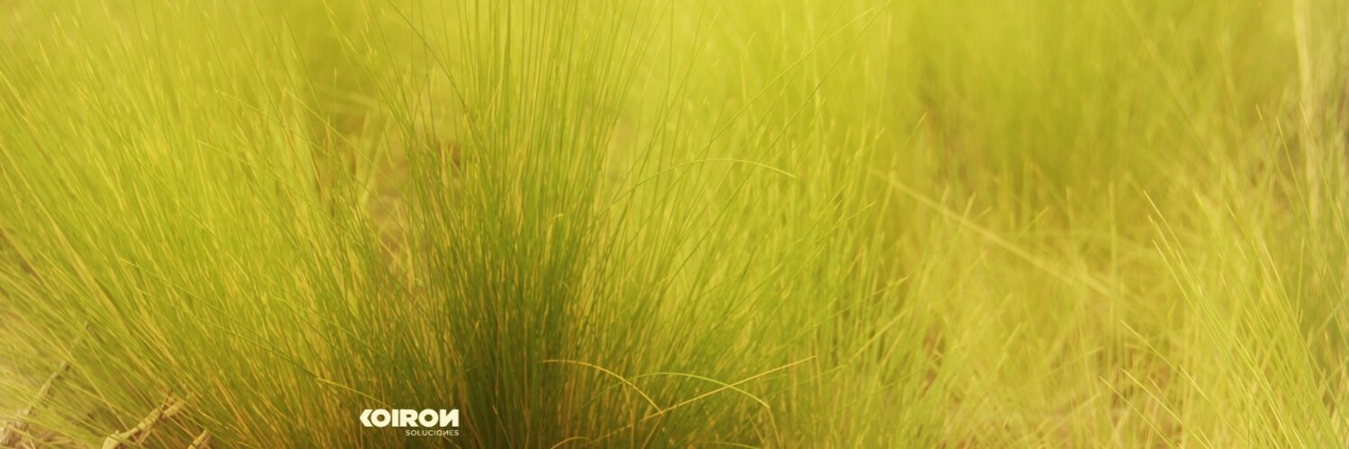 FerBulczynski's profile banner image